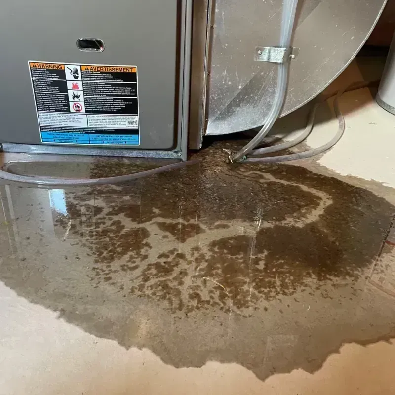 Appliance Leak Cleanup in Hazel Crest, IL